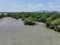 Green mangrove forest capture carbon dioxide. Net zero emissions. Mangroves capture CO2 from atmosphere. Blue carbon ecosystems.