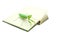 Green mantis on an old book, close up, selective focus. Mantodea, Mantopter. Concept of education, student life.