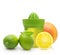 Green manual juicer and citrus fruit