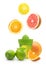 Green manual juicer and citrus fruit