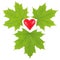 Green maple leaves surrounding a red plastic heart