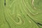 Green marbled  paper background