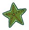 Green marine starfish