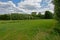 Green marsh landscape with trees in Oude Kale nature reserve, Ghent