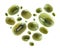 Green mash in the shape of a heart on a white background