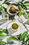 Green matcha cheesecake on plate and green plant leaves