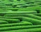 Green maze