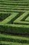 Green maze