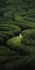 The Green Maze: Surreal Figurative Art In 8k Resolution