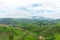 Green meadow on bald mountain in rainy season