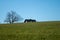 green meadow, behind a roof of a single house and a tree in early sprint time