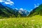 Green meadow with blloming flowers by Logar valley in the slovenian Alps