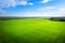 Green meadow and blue sky from above. Summer field on sunny day aerial view. Agriculture