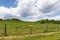 Green meadow bordered with barbed wire fence, blank yellow sign ready for your text, creative copy space