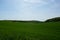 Green meadow, countryside, agricultured, spring landscape