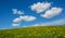 Green meadow with dandelions and sky with clouds