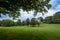 Green Meadow in the Englisher Garten of Munich. The heath of bavaria in the beginning of the fall season, idyllic peace