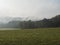 Green meadow and fields with thick fog against the background of the deciduous forest horizon. Rural moody misty