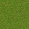 Green Meadow Grass. Seamless Texture.
