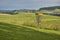 The green meadow on the Gurten hill in the city of Bern where there is a field from the national frisbee tournament