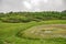 Green meadow and marsh overgrown with sedge surrounded by forest and sky with clouds