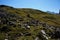 green meadow and rocks at pordoi pass