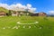 Green meadow in San Cassiano village, Dolomites Mountains, Italy