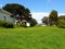 Green meadow in San Francisco Presidio Park