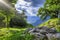 Green meadow in Slovenia mountains