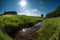 A green meadow with a small stream running through it