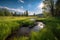 A green meadow with a small stream running through it