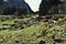 Green meadow with stones covered with moss nearby tourist path  towards to Murg lakes