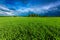 Green meadow and stormy sky