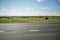 Green meadow with trees and asphalt road, blue sky