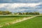 Green meadow and trees. Beautiful spring landscape in Poland