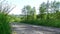 Green meadow and trees near the country lane