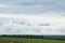 Green meadow under the blue cloudy sky