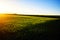 Green meadow under blue sky with clouds. Beautiful Nature Sunset Landscape. Fresh seasonal background. Ecology concept. Beauty