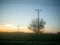 Green meadow with utility poles at sunset. Countryside landscape.