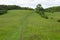 Green meadow valley path flowers