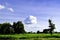 Green meadow, white clouds, blue sky.