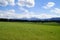 green meadows of Allgau region in Bavaria with Alps in background (Nesselwang, Allgaeu, Germany)