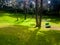 The green meadows of the Bryant Park in the hill station of Kodaikanal in Tamil Nadu, India