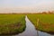 Green meadows and the canal near farm in Netherlands.