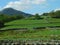 Green meadows lined with stone fencing