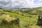 Green meadows near Dingle