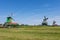 Green meadows and old windmills in Zaanse Schans, Netherlands, Europe