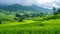 Green meadows and rice paddies create a tranquil rural scene