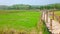 Green meadows at Su Tong Pae Bamboo Bridge, Thailand