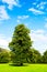 Green Meadows and Trees in Beautiful Ilam Hall in Peak District